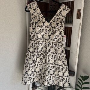 NWT Kensie Black, gold & Cream V-Neck Fit & Flare Dress!